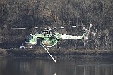 _VEN7981