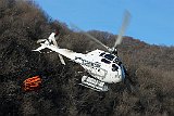 _VEN8439