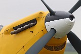 IMG_0549
