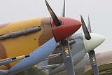 IMG_0600