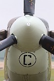 IMG_9448