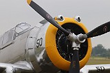 IMG_9529