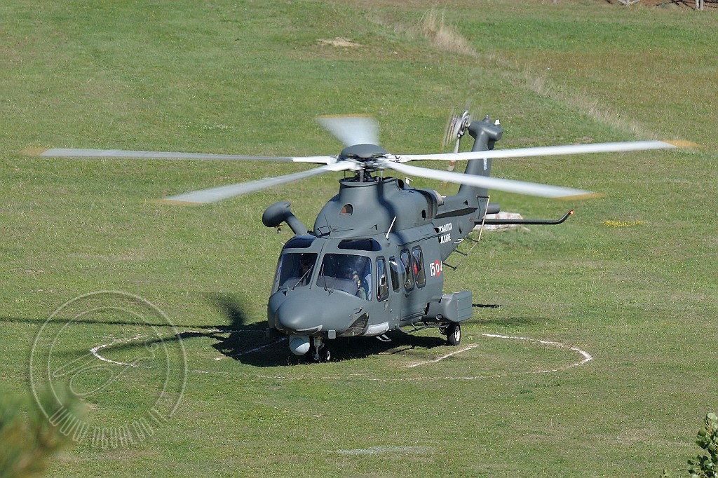 _GRI6488.JPG