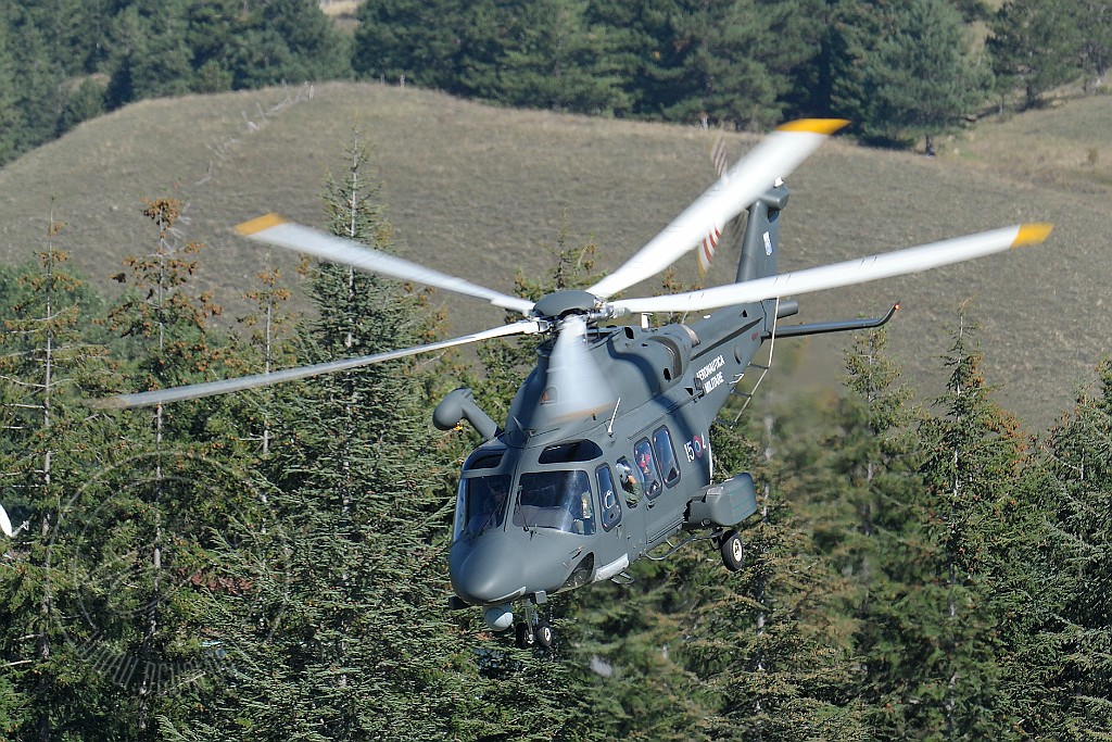 _GRI6495.JPG