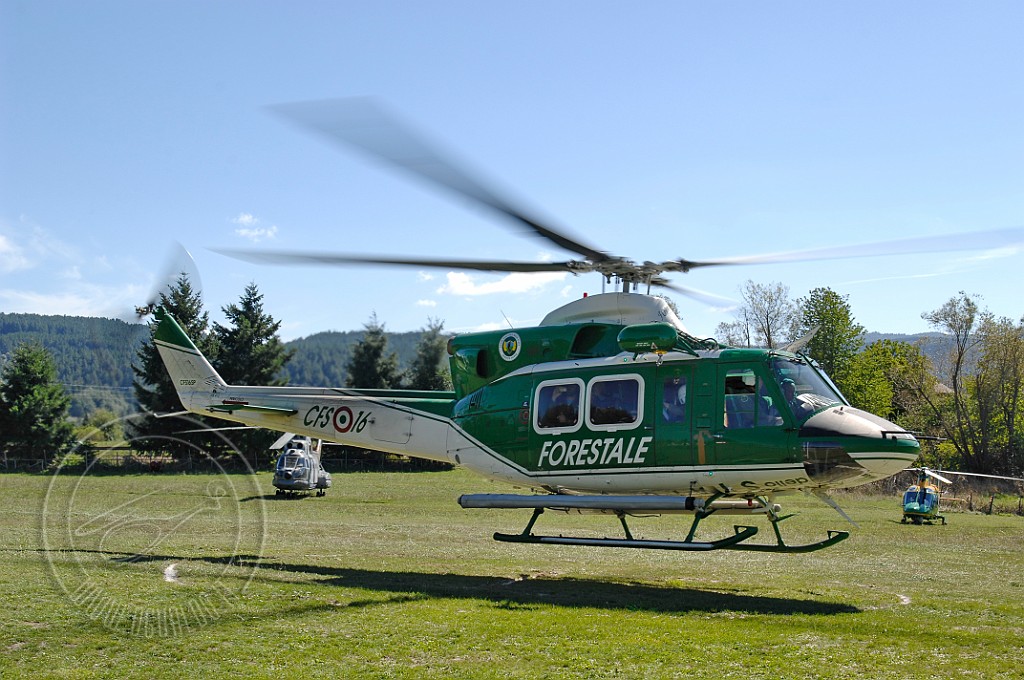 _GRI7755.JPG