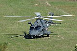 _GRI6488