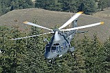 _GRI6495