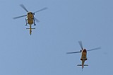 IMG_6599rr