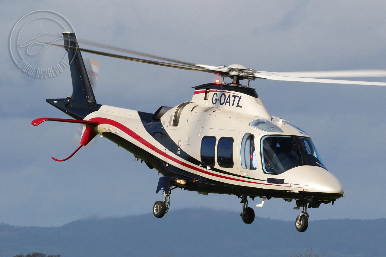 g-oatlC1.jpg