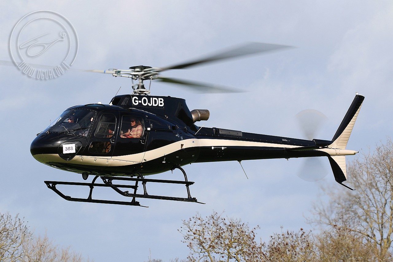g-ojdb4.jpg