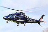 g-gpotC1